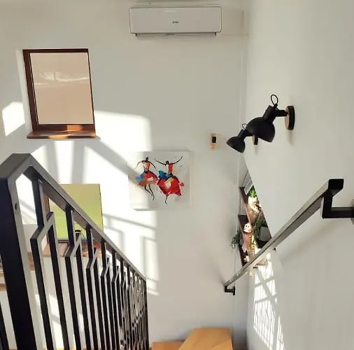 Secret Nest * 즐라티보